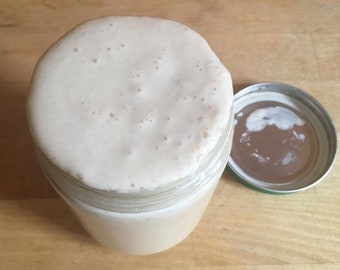 Fresh Camaldoli, Italy Sourdough Starter Culture