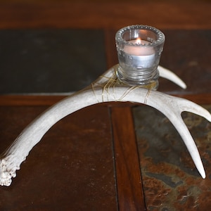Deer Antler Candle Holder