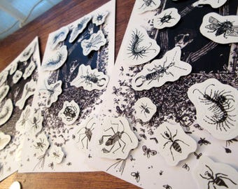 Foglio di adesivi di insetti gotici, adesivi di insetti, adesivi spettrali con penna e inchiostro