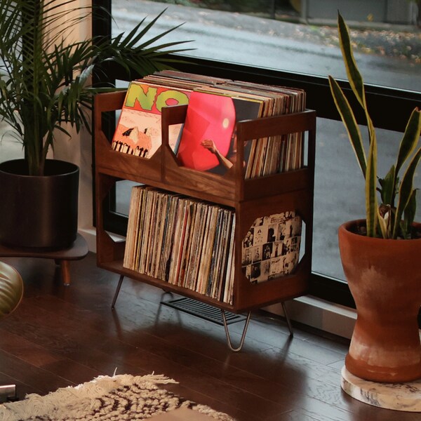 The Deluxe Vinyl Record Storage : Elevate Your Space