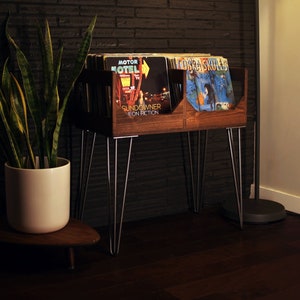 The Deluxe Tallboy Vinyl Record Storage: Flip Bins that Display Your Collection of 120+ Vinyl Records