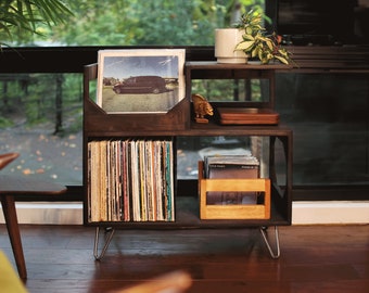 The Vinyl Storage End Table