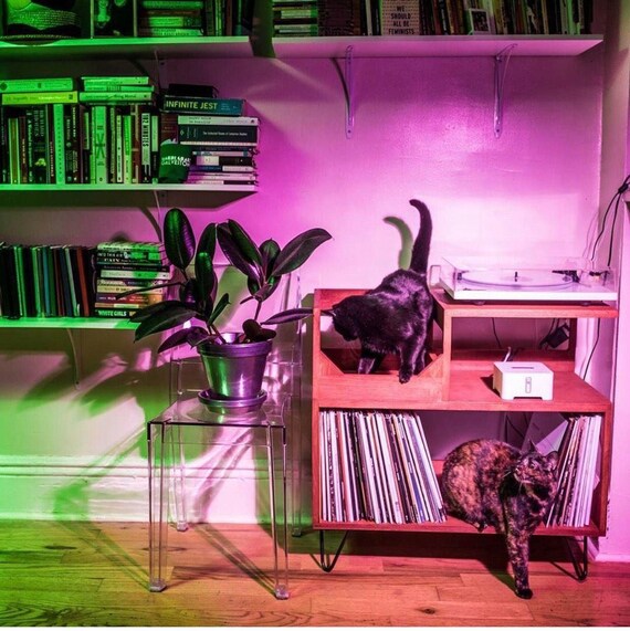 Turntable Station // Display and Protect Your Collection of 250+ Vinyl Records // Handmade in Portland