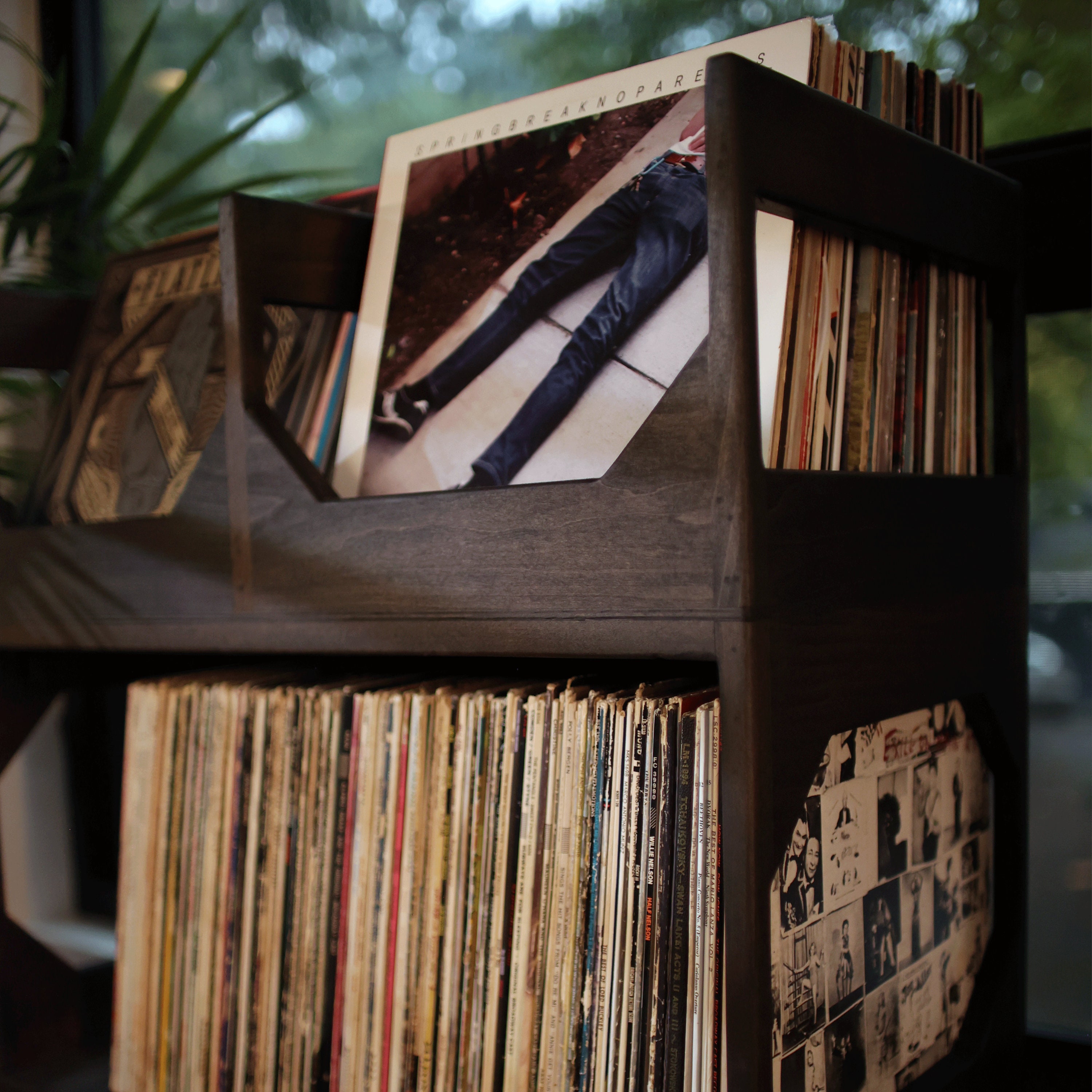 The Deluxe Vinyl Record Storage : Elevate Your Space 
