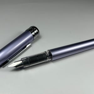 Platinum Plaisir Fountain Pen - Violet