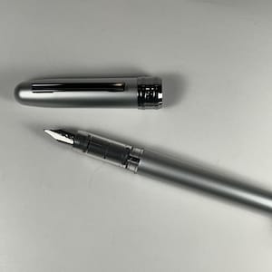 Platinum Plaisir Fountain Pen - Ice White