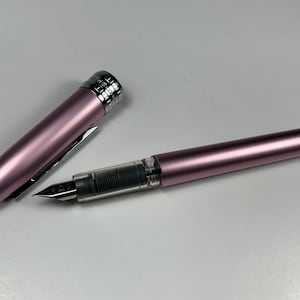 Platinum Plaisir Fountain Pen - Pink