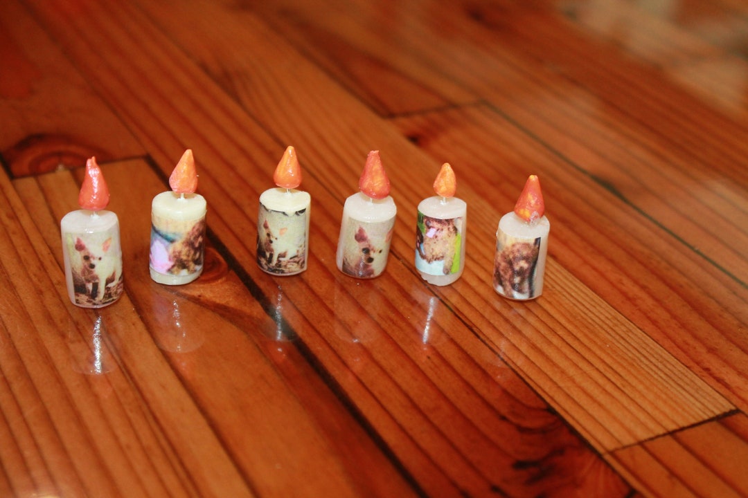 Pet Memorial / to Honor Your Pet / Dog Altar / Cat Altar / Etsy