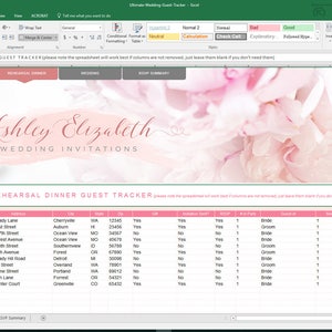 Wedding Guest list tracker, Wedding Guest List Organizer, Guest list spreadsheet, Wedding Excel Sheet Digital Download Instant Access image 8