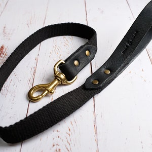 leather lead and collar