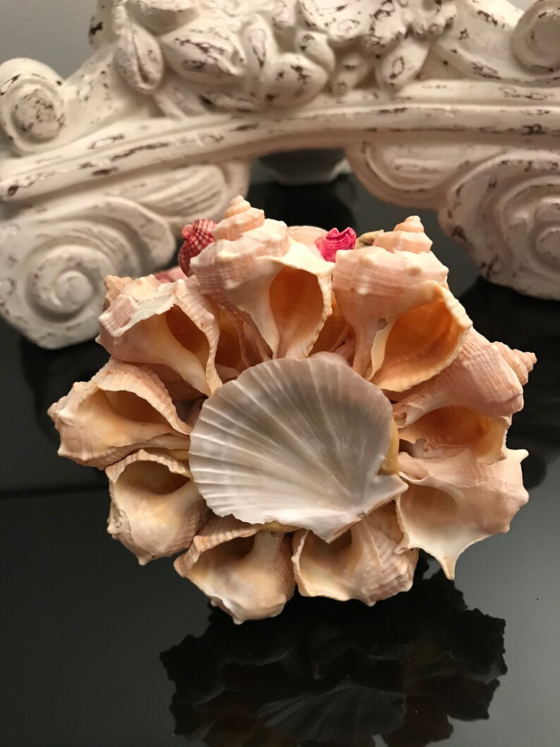 Vintage Seashell Souvenir Cross 10 Tall / Sea Shell Etsy