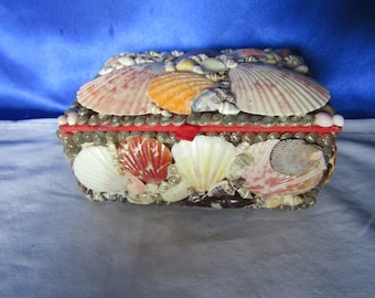 Vintage Mixed Scallop Shell Trinket Box with Red Felt Liner