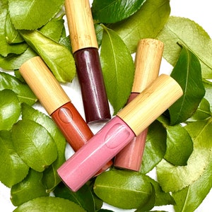 Tinted Lip Gloss, Lip Oil, Food Grade Ingredients, Vegan, Zero Waste