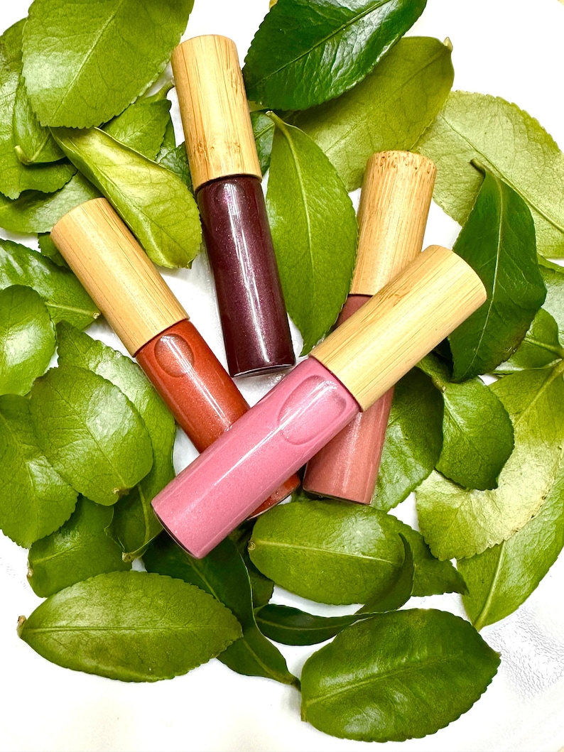 Tinted Lip Gloss, Lip Oil, Food Grade Ingredients, Vegan, Zero Waste image 1