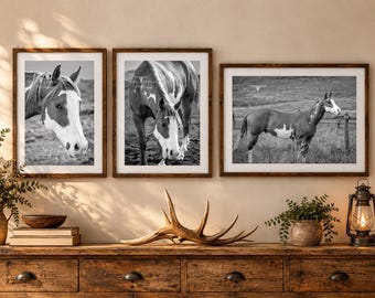 Könnte beinhalten: Drei gerahmte Schwarz-Weiß-Fotografien von Pferden an einer Wand. Der linke Rahmen zeigt einen Pferdekopf, der mittlere ein grasendes Pferd und der rechte ein ganzes Pferd auf einer Weide. Jeder Druck hat einen Rahmen aus dunklem Holz.