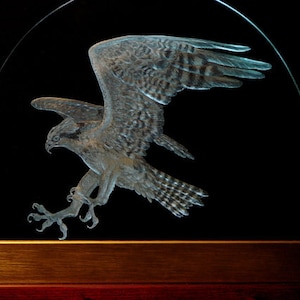 Osprey, Osprey in Flight, Fish Hawk, Hand Engraved, Fine Art, Bird Art, Bird in Flight, Art Glass, Glass Art, Osprey Sculpture, FishHawk Art