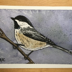 Black Capped Chickadee - Original Small Watercolor Bird Painting - 5x7&quot; Watercolor and Pen Nature Art - Watercolor Bird Art - Maine bird