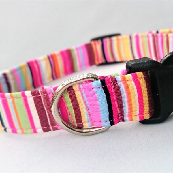 Female Dog Collar Etsy
