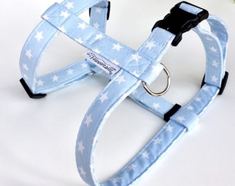 cute male dog harness