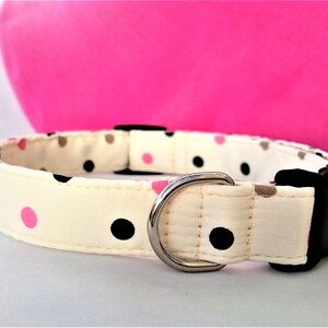 Collier pour chien de créateur à pois roses et noirs sur fond crème, collier pour fille à pois roses, laisse optionnelle