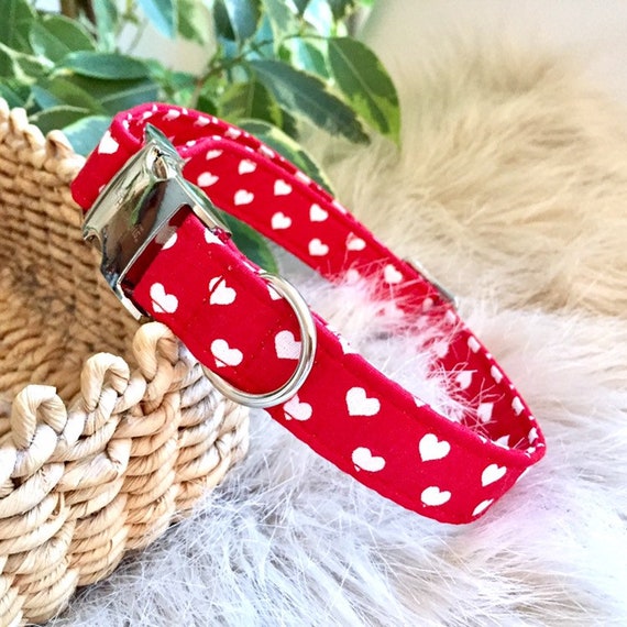 Cute red dog best sale collar