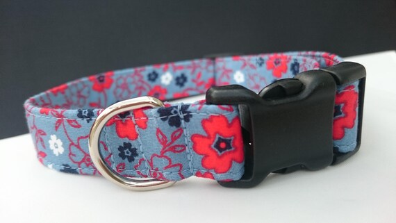 blue dog collar and lead