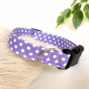 Lilac Polka Dot Dog Collar, Cute, Girl Lavender Dog Collar, Swiss Dot Puppy Collar, Optional Lilac Polka Dot Dog Lead, Lilac Pet Collar