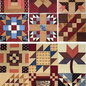 May include: Nine different quilt blocks with a variety of patterns and colors, including red, brown, blue, and beige. The blocks are made of fabric squares sewn together to create geometric designs.