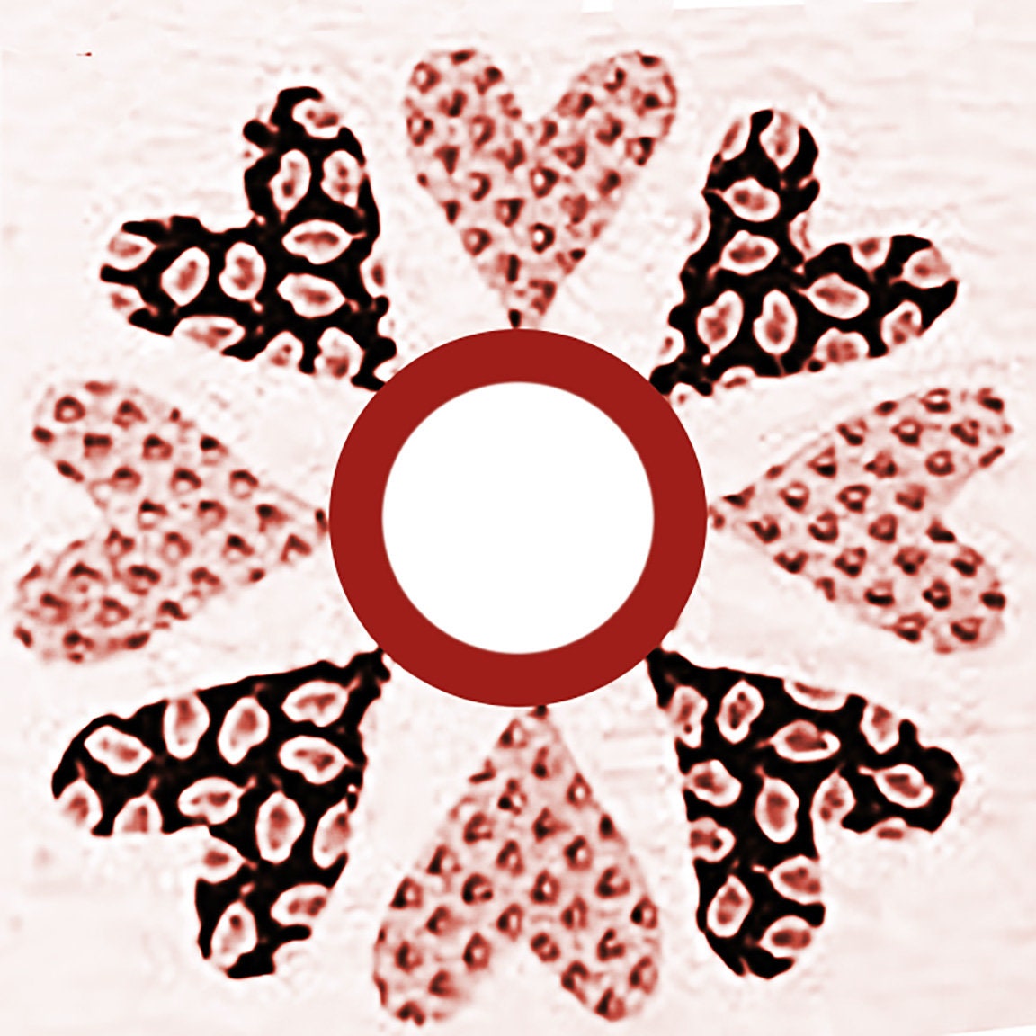 Freedom's Friends Applique Quilt BOM Traditional Patterns to Recall the