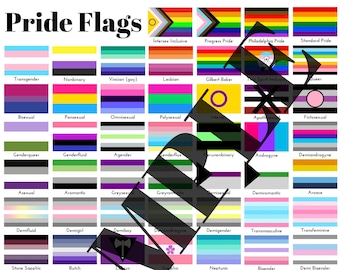 DIGITAL FILE: Printable Extended Pride Flag Reference Guide - Includes LGBTQ+ and Disability Pride Flags