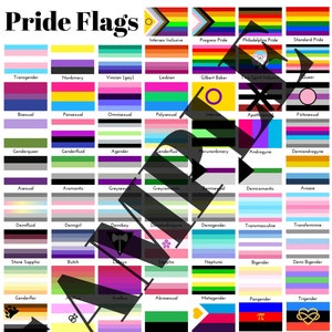 DIGITAAL BESTAND: Afdrukbare uitgebreide Pride Flag-referentiegids - Inclusief LGBTQ+ en handicap Pride-vlaggen