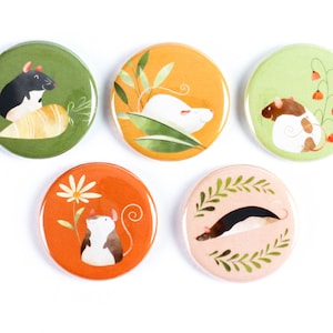 Op de afbeelding: Set van zes ronde knoopsluitingen met verschillende illustraties van ratten in verschillende poses en omgevingen. De knoopsluitingen zijn kleurrijk en hebben verschillende achtergronden, waaronder groen, oranje en roze.