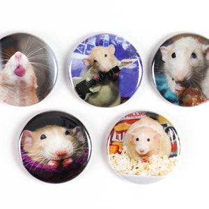 Könnte beinhalten: Fünf runde Knöpfe mit verschiedenen Bildern von Ratten. Der erste Knopf zeigt eine Ratte mit herausgestreckter Zunge. Der zweite Knopf zeigt eine Ratte, die Gitarre spielt. Der dritte Knopf zeigt eine Ratte, die ein Stück Nahrung frisst. Der vierte Knopf zeigt eine Ratte mit den Pfoten im Gesicht. Der fünfte Knopf zeigt eine Ratte, die Popcorn isst.