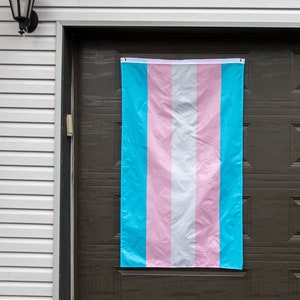 May include: A blue, pink, and white transgender pride flag hanging on a brown wooden door.