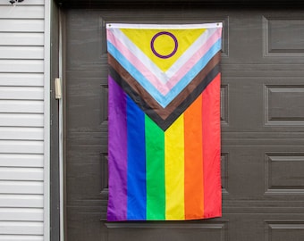 New Progress Pride Flag, 3x5' or Hand Pride Flag, Inclusive Pride Flags