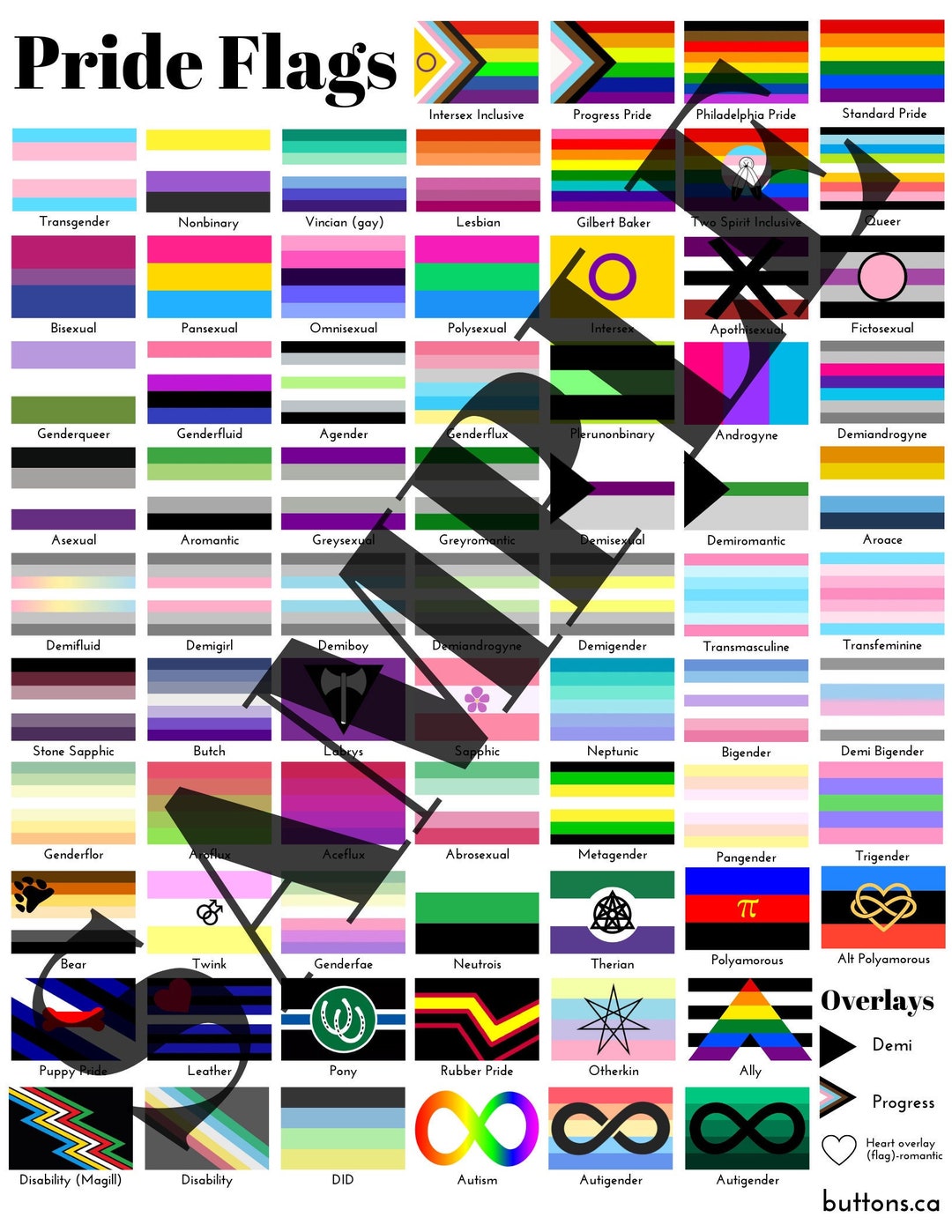 DIGITAL FILE: Printable Extended Pride Flag Reference Guide - Etsy