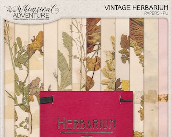 Herbarium Paper Etsy