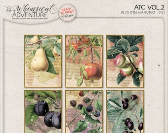 Home Decor, Wall Art, Fall Decorations, Autumn Themed Printable ATC, Vintage, Harvest Fruits, Instant Download, Botanical Fruit Prints,