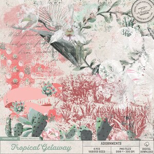 Cactos e suculentas, decoração do sudoeste, sobreposições para scrapbooking digital, transferências artísticas, flor de orquídea vintage, paisagem mexicana