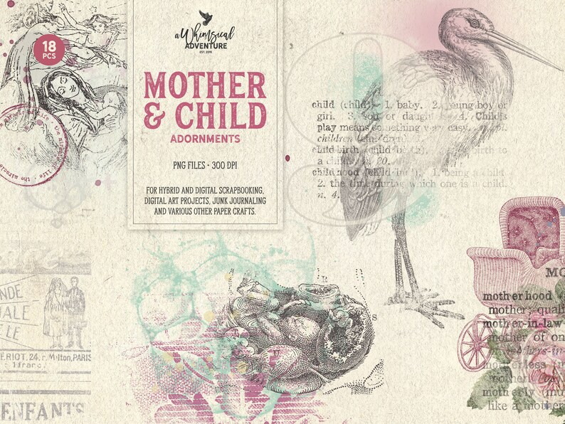 Baby Memory Books Pregnancy Journal Dictionary Transfer Etsy