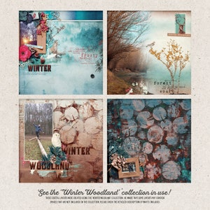 K&ouml;nnte beinhalten: Eine digitale Collage aus vier Bildern mit Winterwald-Thema. Die Bilder zeigen einen verschneiten Wald, einen Fluss, einen Baumstamm mit einer Schnee-Eule und einen Hintergrund aus Baumringen. Der Text "Winter Woodland" erscheint in der Collage.