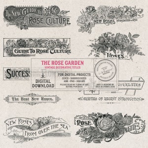 Decorative Titles From Seed Catalogues Vintage Typography Digital Stamps Instant Download image 2