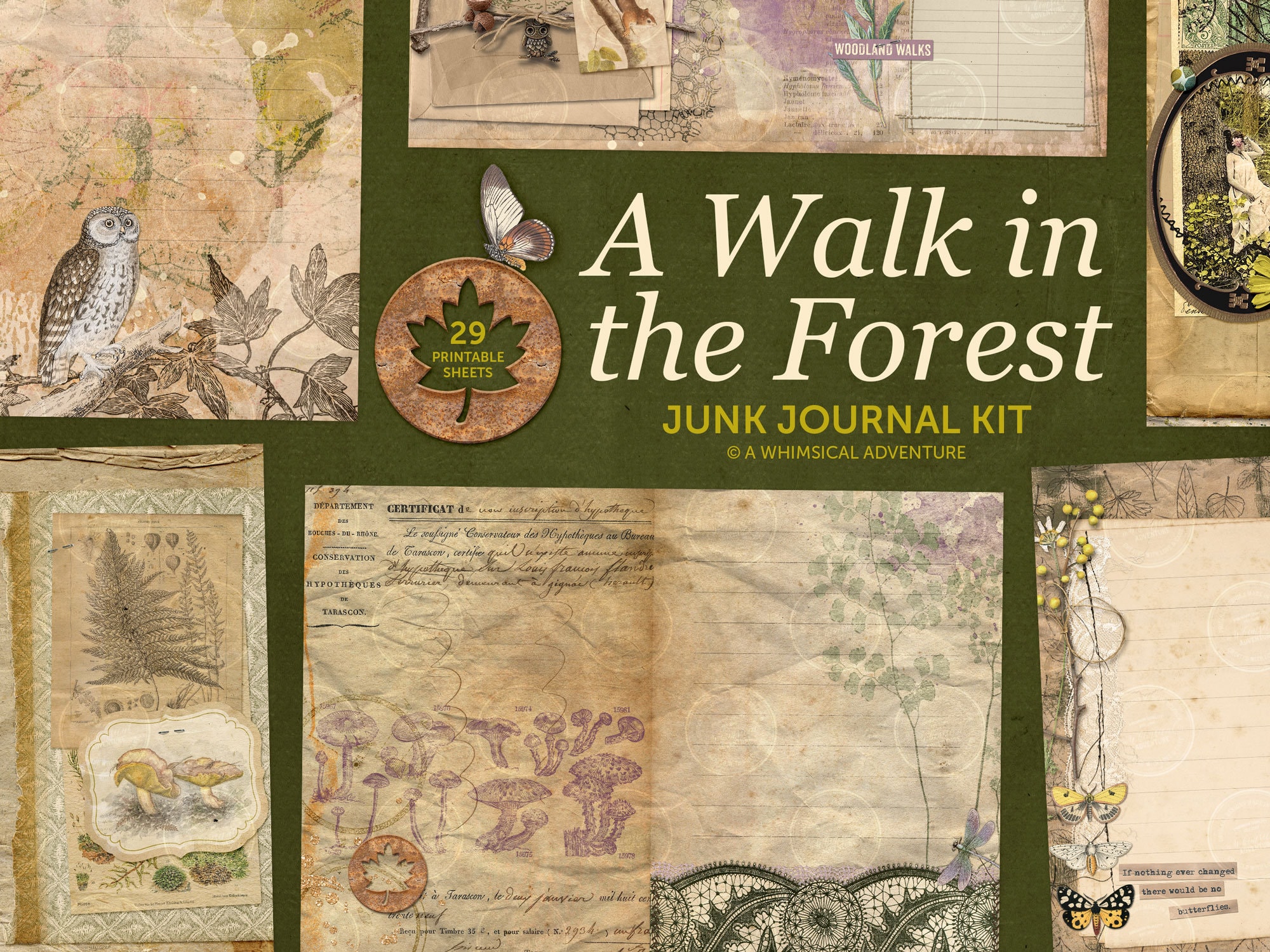 Nature Journaling – Duke Forest