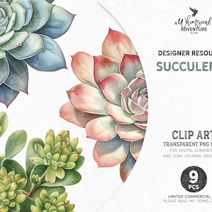 Sukkulenten Vintage Aquarell PNG Clipart für begrenzte kommerzielle Nutzung, digitaler Download Bilder von Crassula Echeveria und Sedum