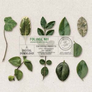 Folhas, Folhagem, Plantas, Elementos de Scrapbooking Digital, Uso Comercial OK, Download Digital, Vegetação, Natureza, Exterior, Elementos Realistas