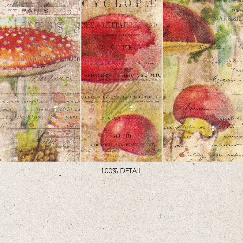 Woodland Mushrooms, ATC Printable, Junk Journal, Vintage Fungi, Botanical Print, Instant Download image 3