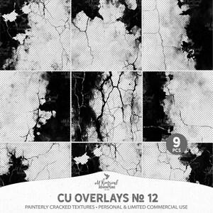 Op de afbeelding: Negen digitale overlays in zwart-wit met een gebarsten, schilderachtige textuur.  CU Overlays No 12.  Schilderachtige gebarsten texturen.  Persoonlijk en beperkt commercieel gebruik.