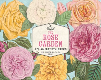 Printable Vintage Rose Clipart - Rose Garden - Antique Botanical Illustration - Instant Download