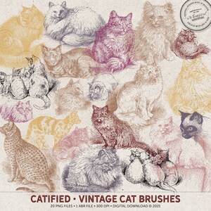 Photoshop Brushes, Vintage Cat Brushes, Instant Download, Digital Stamps, Photoshop Abr, Cardmaking Images, Art Project, Adobe Brushes