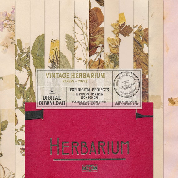 gepresste pflanzen herbarium album getrocknete blumen etsy